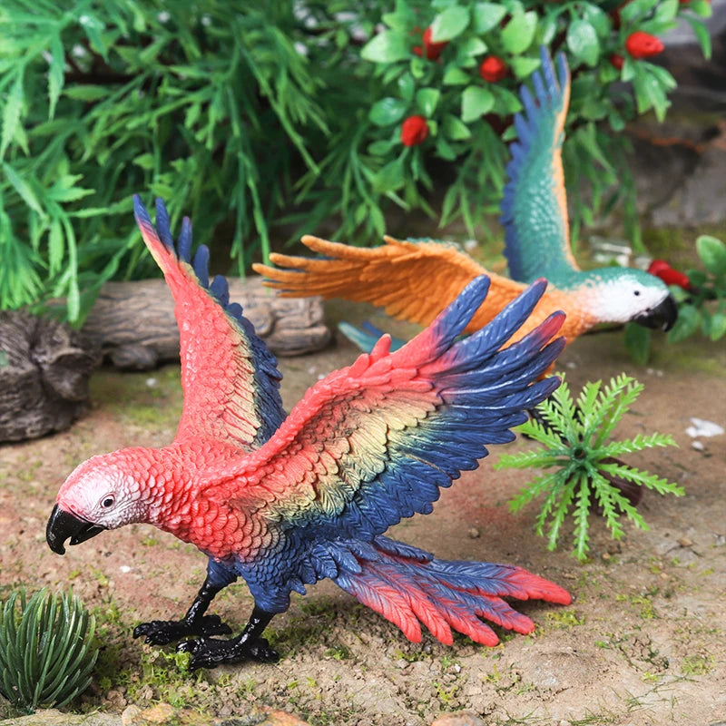 Oenux Bird Forest Animal Parrot Macaw Cockatiel Cockatoo Agapornis Puffin Model Solid PVC Garden Decoration Education Kids Toy
