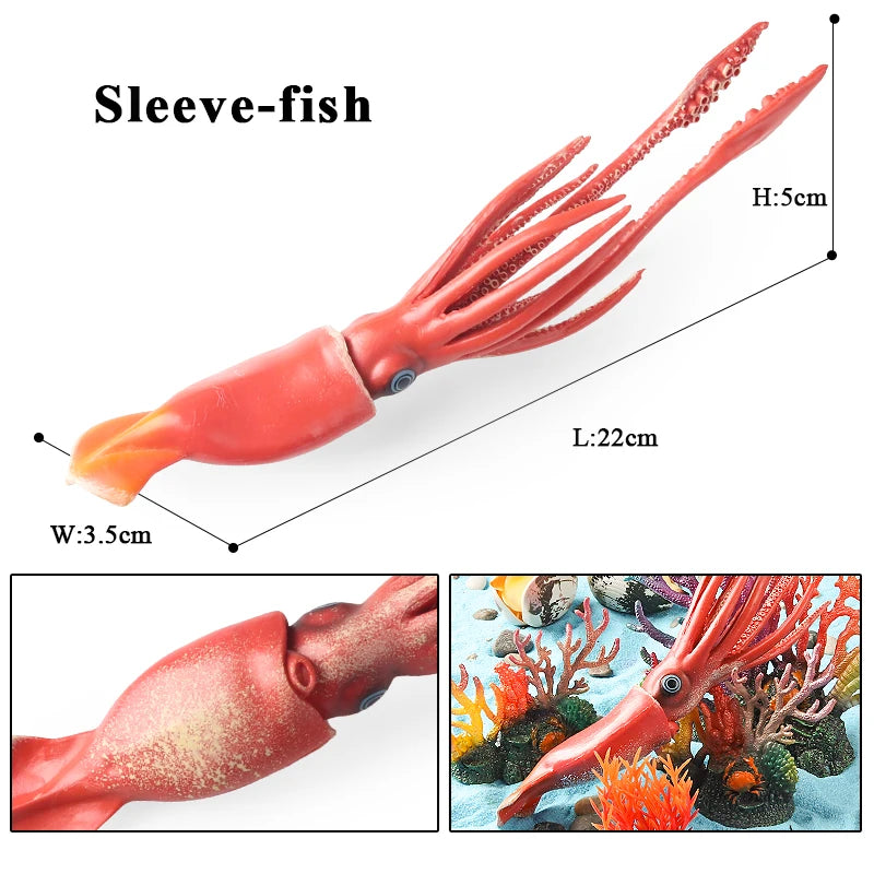 Oenux Marine Molluscs Model Simulation Squid Octopus Growth Cycle Action Figure Sealife Animals Education Collection Kids Toy