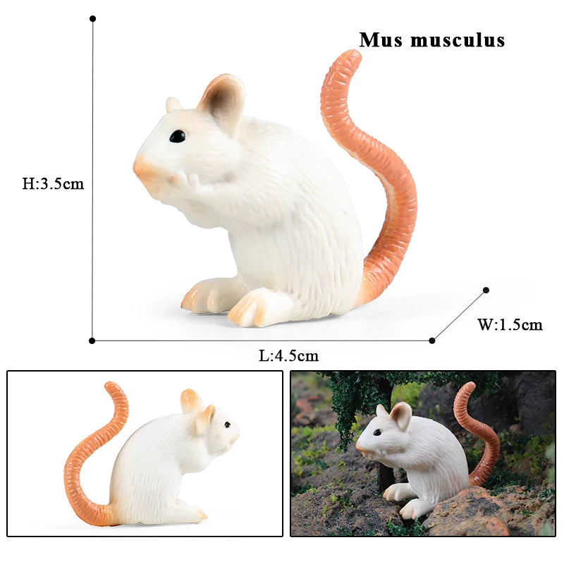 Oenux Wild Animals Simulation Rodent Marmot Mouse Model Squirrel Rat Chinchilla Action Figure Figurine Collection Cute Kid Toy