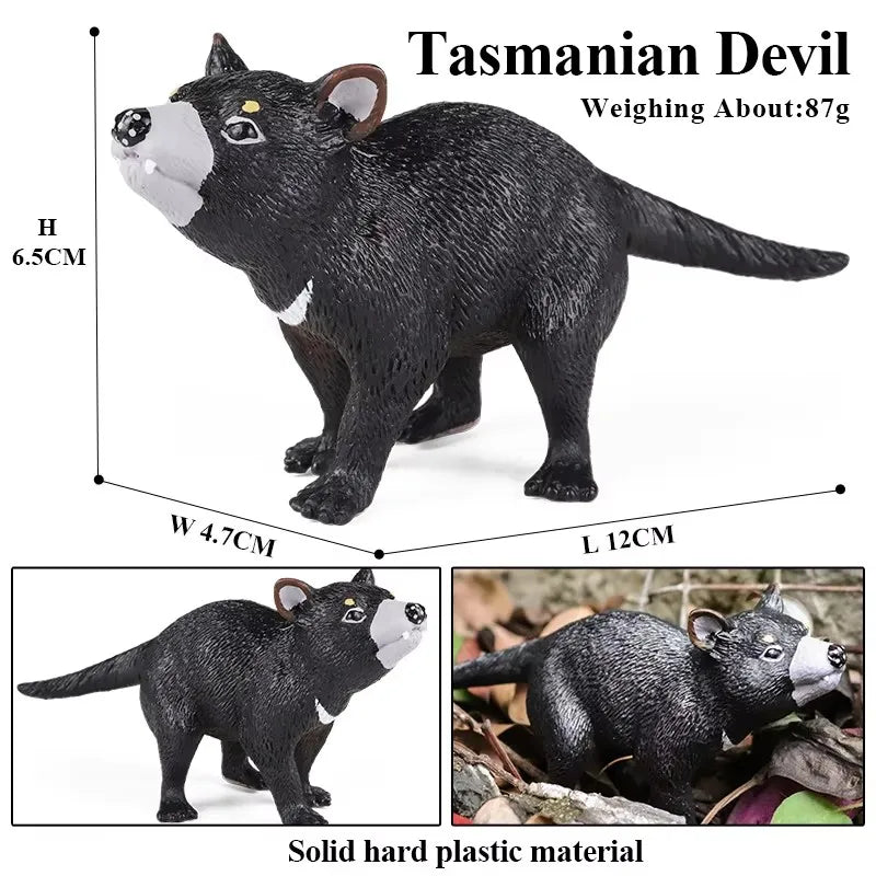 Oenux Classic Australian Wild Animals Kangaroos Koala Platypus Tasmanian Devil Echidna Cassowary Model Figurine Toy Kid Gift