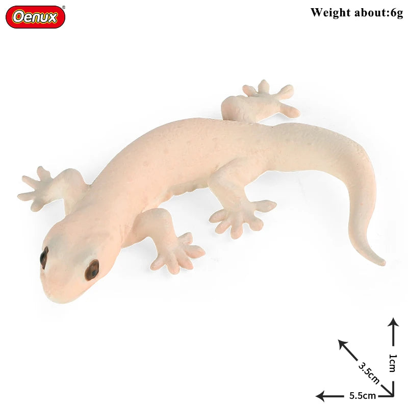 Oenux New Wild Animals Forest Orangutan Pigeon Hedgehog Aardvark Capybara Action Figure Model Figurines PVC Collection Kids Toy