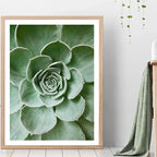 1pc Green Botanical Leaves Interior Art Print Houseplants Nature Indoors Canvas Wall Home Decor Calming Poster Foliage and Plant