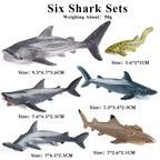 Oenux Ocean Life Animals Whale Dolphin Basking Shark Narwhal Tropical Fish Model Action Figures PVC Education Toy Kids Gift