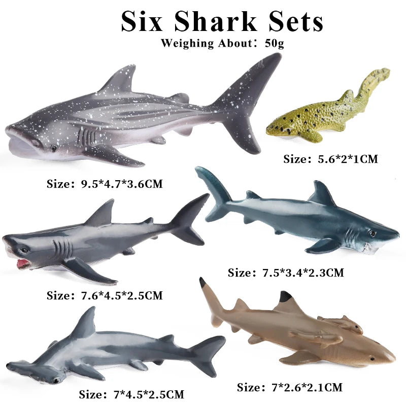 Oenux Ocean Life Animals Whale Dolphin Basking Shark Narwhal Tropical Fish Model Action Figures PVC Education Toy Kids Gift