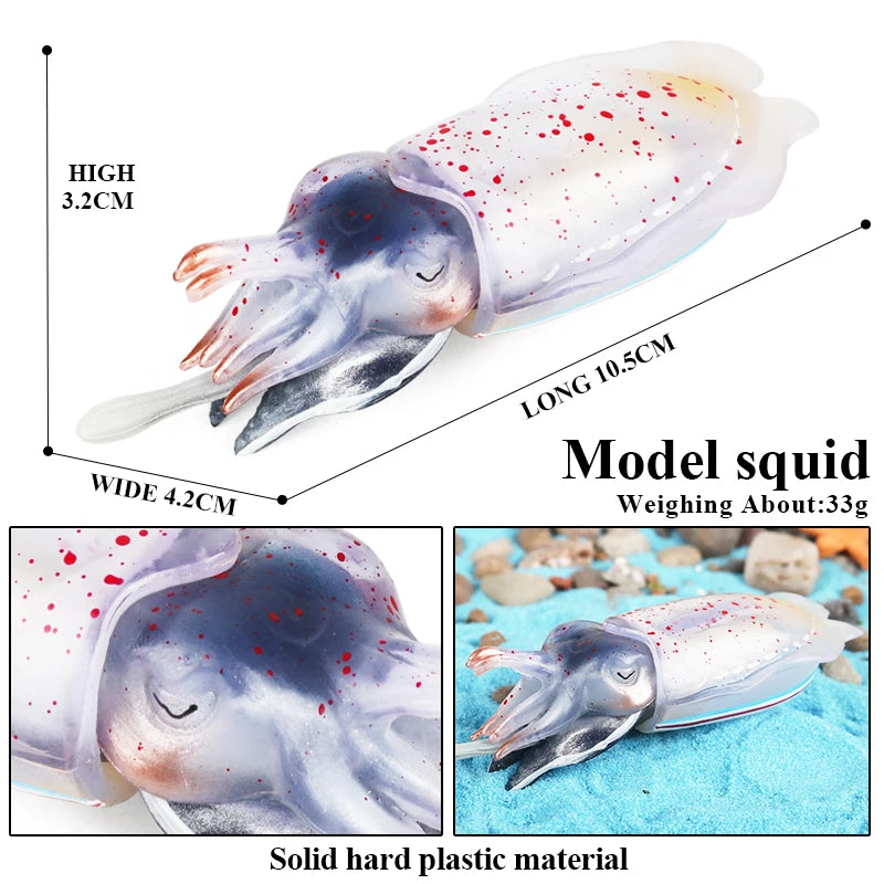 Oenux Marine Molluscs Model Simulation Squid Octopus Growth Cycle Action Figure Sealife Animals Education Collection Kids Toy