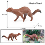 Oenux Wild Beast Animals Small Gray Wolf Maned Wolf Baby Wolves Simulation Model Action Figures Collection PVC Gift Kid Toy Gift