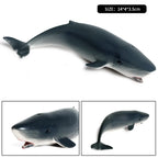 Oenux Ocean Life Animals Whale Dolphin Basking Shark Narwhal Tropical Fish Model Action Figures PVC Education Toy Kids Gift