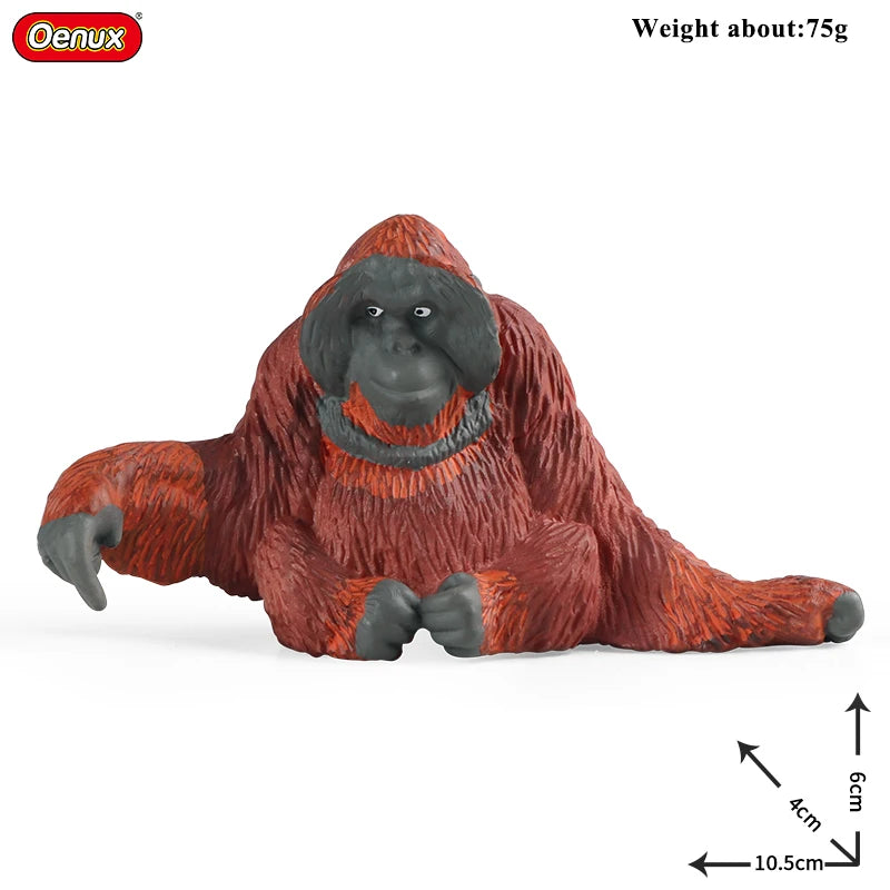 Oenux New Wild Animals Forest Orangutan Pigeon Hedgehog Aardvark Capybara Action Figure Model Figurines PVC Collection Kids Toy