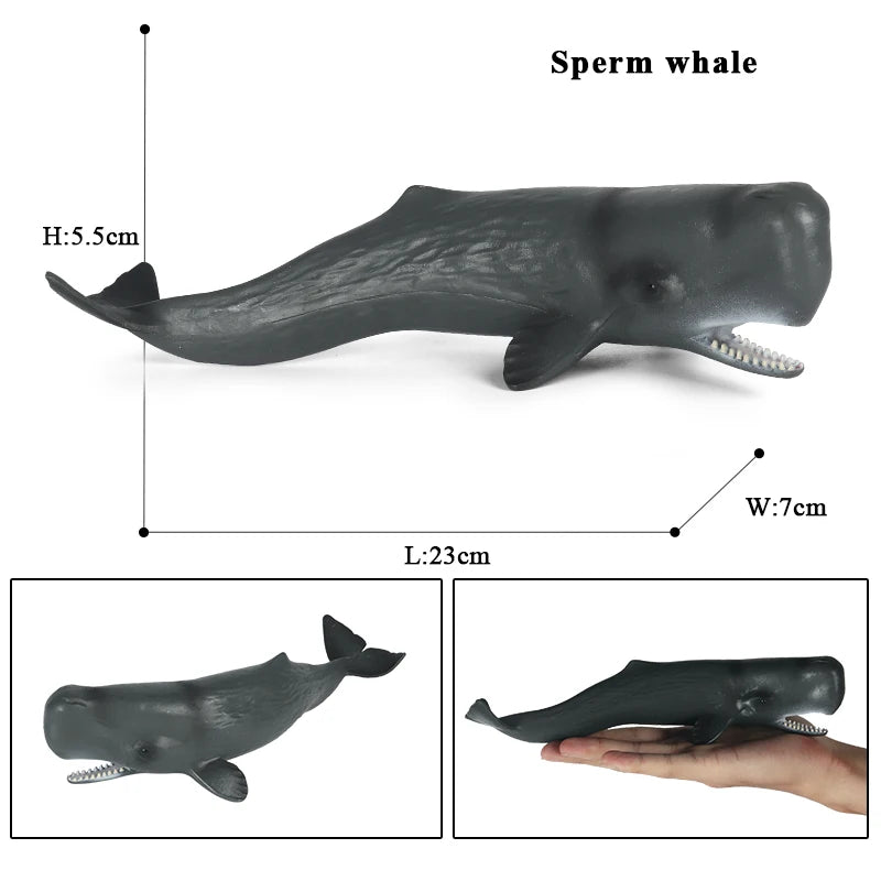 Oenux Ocean Animal Savage Megalodon Beluga Big Shark Orca Sperm Blue Whale Action Figures Sea Life Model Educational Kids Toy