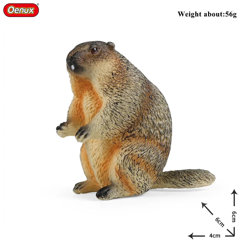 Oenux New Wild Animals Forest Orangutan Pigeon Hedgehog Aardvark Capybara Action Figure Model Figurines PVC Collection Kids Toy