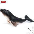 Oenux Ocean Animals Action Figures Sealife Shark Whare Megalodon Model Figurines PVC Home Decoration Kid Cognitive Education Toy