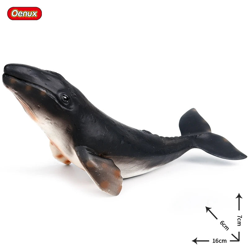 Oenux Ocean Animals Action Figures Sealife Shark Whare Megalodon Model Figurines PVC Home Decoration Kid Cognitive Education Toy