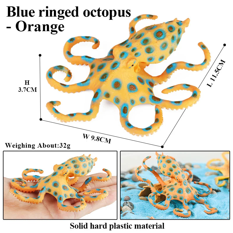 Oenux Marine Molluscs Model Simulation Squid Octopus Growth Cycle Action Figure Sealife Animals Education Collection Kids Toy