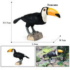 Oenux Garden Bird Figurines Snowy Owl Toucan Bucerotidae Animals Model PVC Action Figures Collection Toys For Kids Birthday Gift
