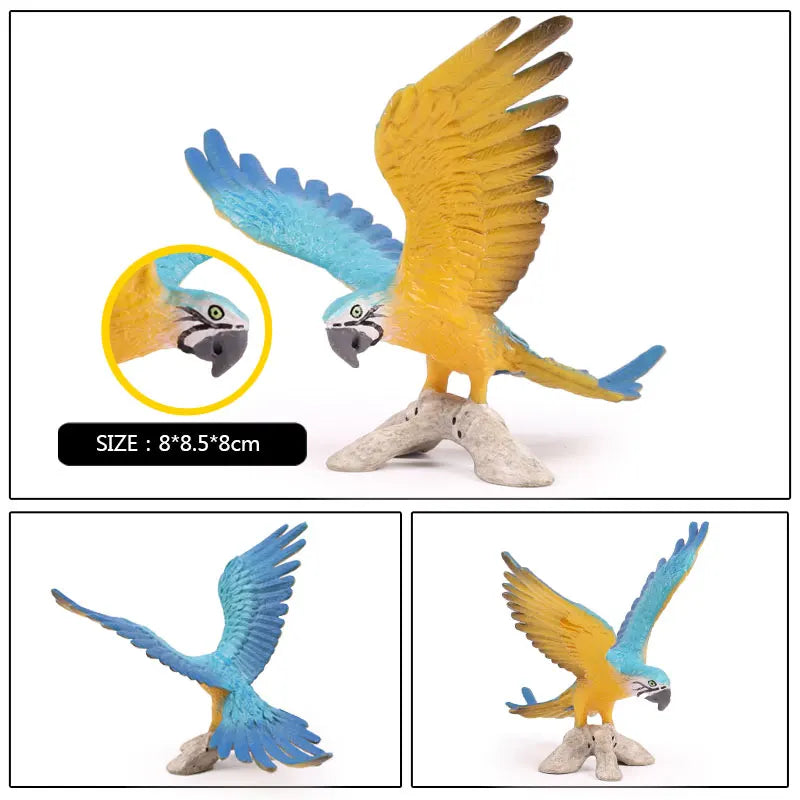 Oenux Bird Forest Animal Parrot Macaw Cockatiel Cockatoo Agapornis Puffin Model Solid PVC Garden Decoration Education Kids Toy