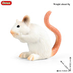 Oenux New Wild Animals Forest Orangutan Pigeon Hedgehog Aardvark Capybara Action Figure Model Figurines PVC Collection Kids Toy