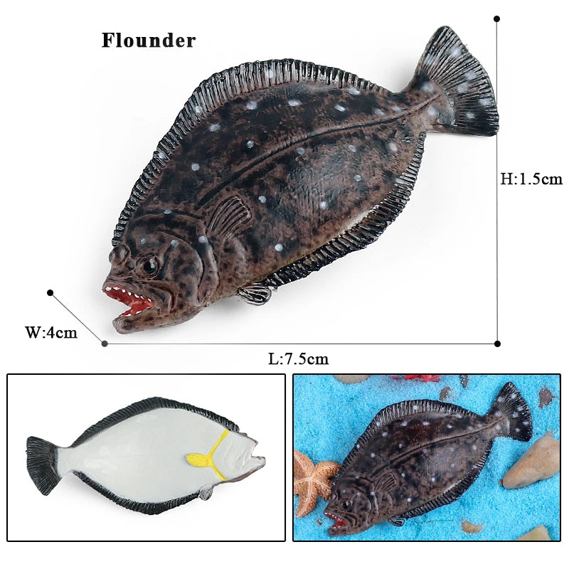 Oenux Sea Life Animals Coral Octopus Nautiloidea Crab Starfish Ocean Model Action Figures Educational Collection Toy Kid Gift