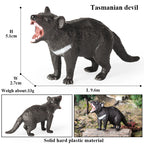 Oenux Classic Australian Wild Animals Kangaroos Koala Platypus Tasmanian Devil Echidna Cassowary Model Figurine Toy Kid Gift