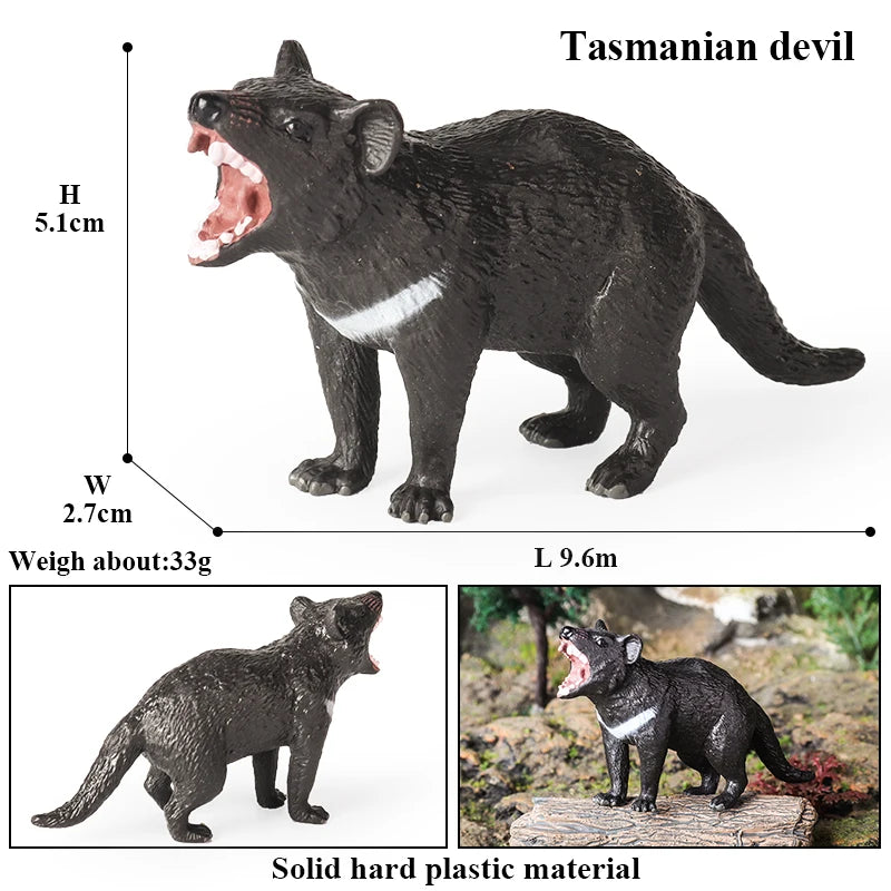 Oenux Classic Australian Wild Animals Kangaroos Koala Platypus Tasmanian Devil Echidna Cassowary Model Figurine Toy Kid Gift