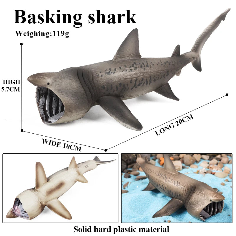 Oenux Ocean Animals Action Figures Sealife Shark Whare Megalodon Model Figurines PVC Home Decoration Kid Cognitive Education Toy