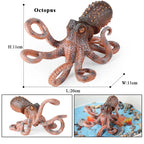 Oenux Marine Molluscs Model Simulation Squid Octopus Growth Cycle Action Figure Sealife Animals Education Collection Kids Toy
