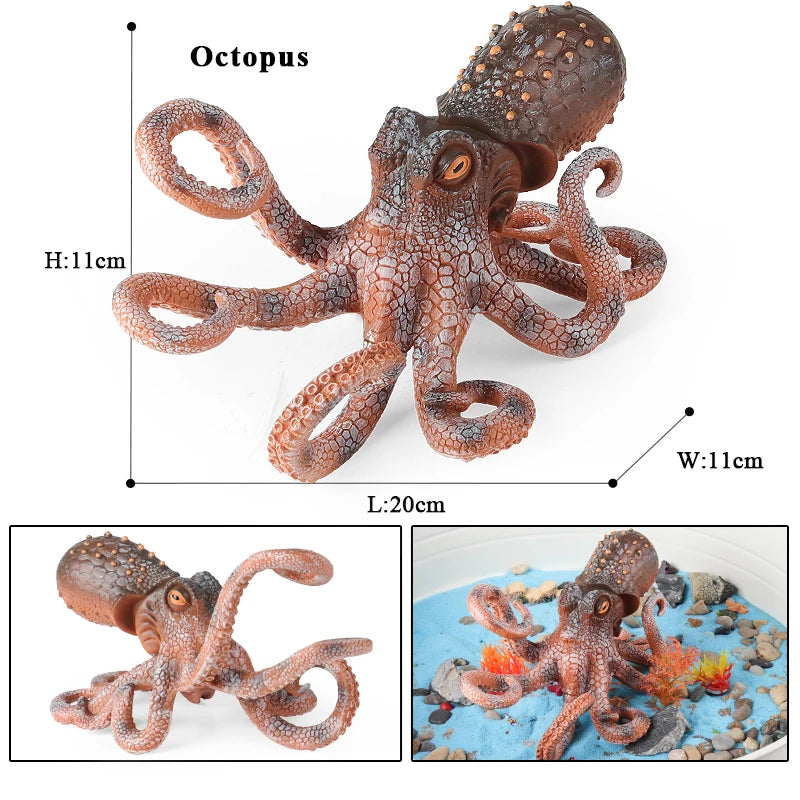Oenux Marine Molluscs Model Simulation Squid Octopus Growth Cycle Action Figure Sealife Animals Education Collection Kids Toy