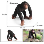 Oenux Simulation Wild Animal Chimpanzee Orangutan Gorilla Tree Sloth Monkey Model Action Figures Garden Miniature Decoration Toy