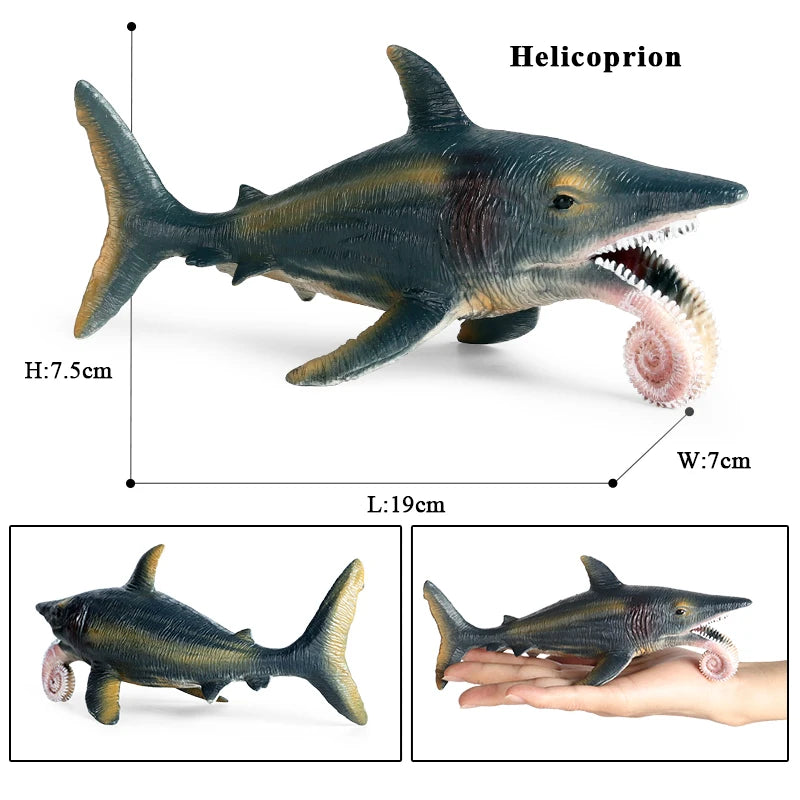 Oenux Ocean Animals Action Figures Sealife Shark Whare Megalodon Model Figurines PVC Home Decoration Kid Cognitive Education Toy