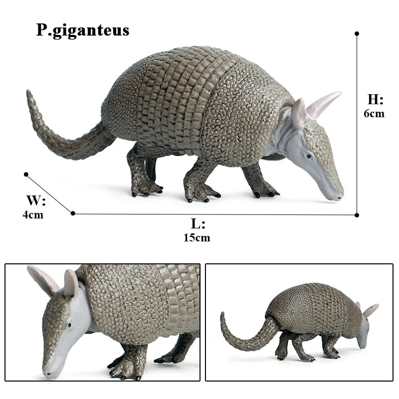 Oenux Wild Animals Simulation AArdvark Anteater Armadillo Pangolin Ant Natural Enemy Figurines PVC Model Collection Kid Toy Gift