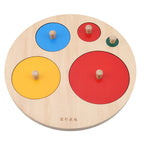 Montessori Puzzle Toys Wooden Geometric Sorting Game