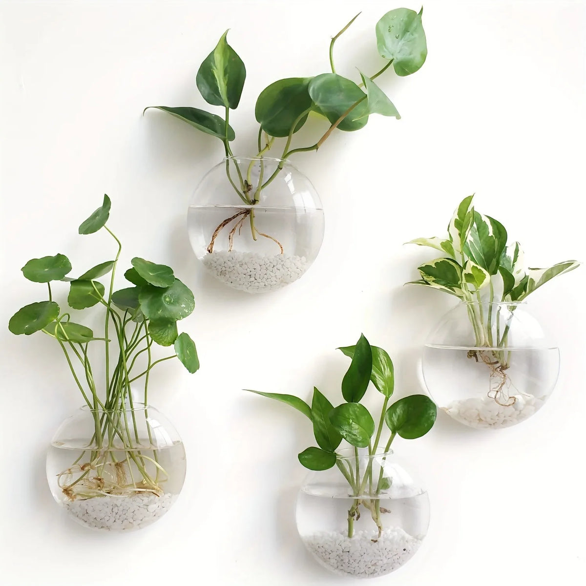 2/4/6 Pack Wall Hanging Glass Terrarium - Self-Watering Hydroponic Planter for Home Office Decor, Handmade Round Crystal Vase