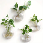 2/4/6 Pack Wall Hanging Glass Terrarium - Self-Watering Hydroponic Planter for Home Office Decor, Handmade Round Crystal Vase
