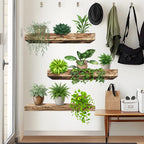 Green Plant Wall Sticker Waterproof Vinyl Wall Decal with Potted Plants for Bedroom, Living Room, Kitchen, Entryway Home Decor