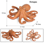 Oenux Marine Molluscs Model Simulation Squid Octopus Growth Cycle Action Figure Sealife Animals Education Collection Kids Toy