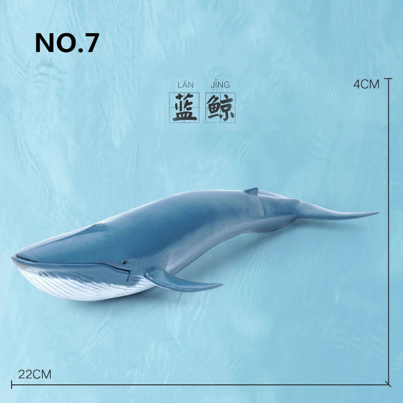 12 Styles Simulated Marine Sea Life Whale Shark Model Ocean Animals Dolphin Creative Home Decor Toys For Children Christmas Gift