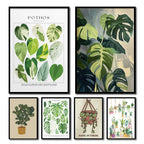 1pc Green Botanical Leaves Interior Art Print Houseplants Nature Indoors Canvas Wall Home Decor Calming Poster Foliage and Plant