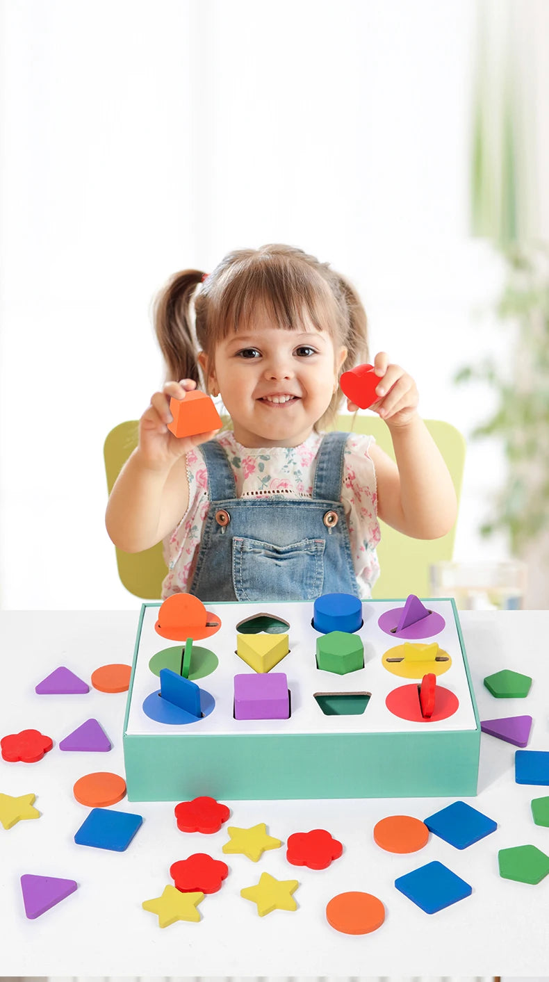 Wooden Geometric Solids Sorting Toy for Kids