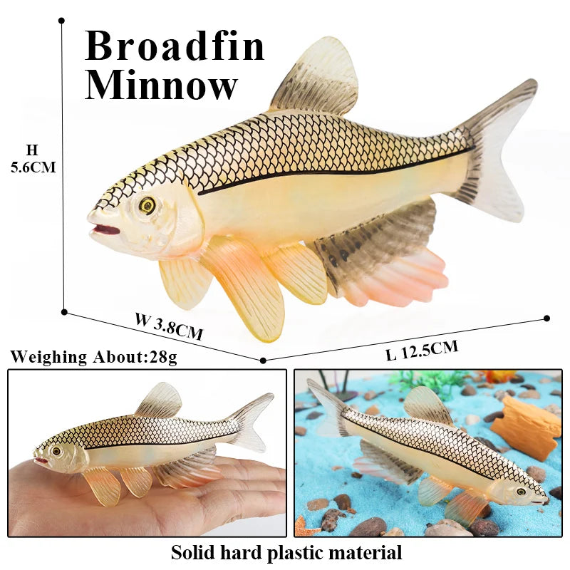 Oenux Sea Life Animals Coral Octopus Nautiloidea Crab Starfish Ocean Model Action Figures Educational Collection Toy Kid Gift