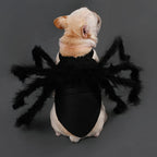NONOR Halloween Dog Cat Clothes Pet Cosplay Funny Spider Costume Halloween Party Costumes for Small Medium Dog Cat Costumes
