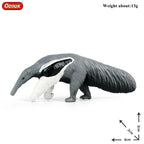 Oenux New Wild Animals Forest Orangutan Pigeon Hedgehog Aardvark Capybara Action Figure Model Figurines PVC Collection Kids Toy