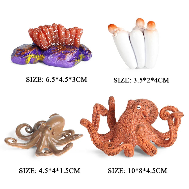 Oenux Marine Molluscs Model Simulation Squid Octopus Growth Cycle Action Figure Sealife Animals Education Collection Kids Toy