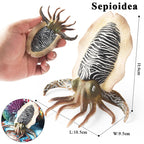 Oenux Marine Molluscs Model Simulation Squid Octopus Growth Cycle Action Figure Sealife Animals Education Collection Kids Toy