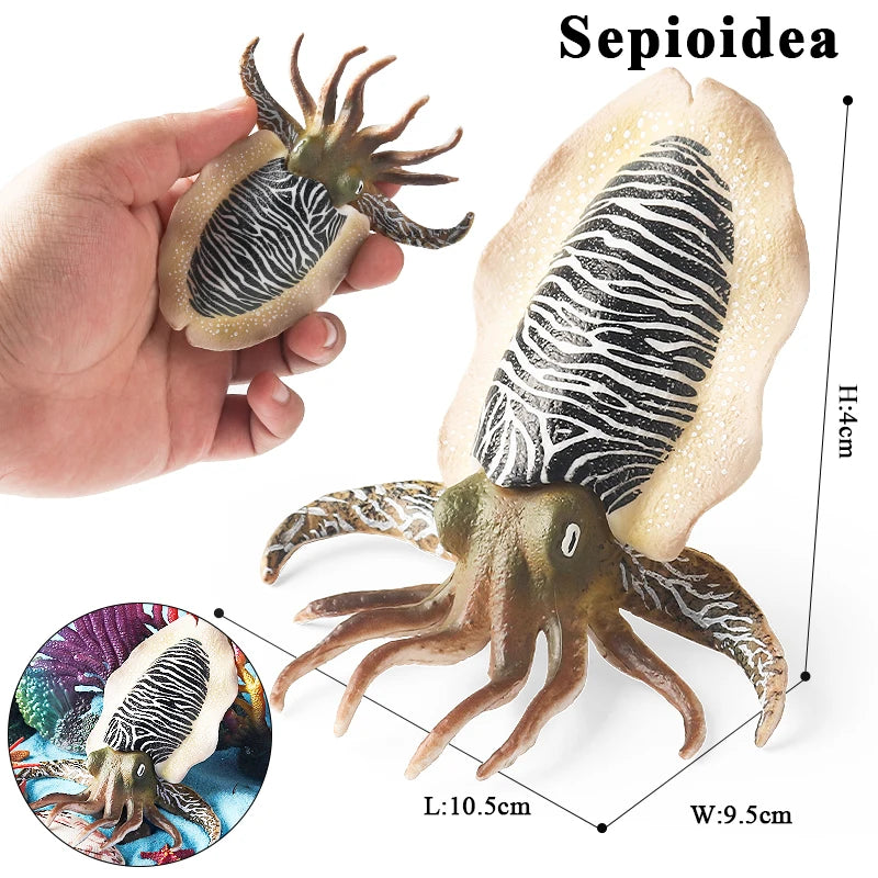 Oenux Marine Molluscs Model Simulation Squid Octopus Growth Cycle Action Figure Sealife Animals Education Collection Kids Toy