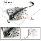 Oenux Sea Life Animals Coral Octopus Nautiloidea Crab Starfish Ocean Model Action Figures Educational Collection Toy Kid Gift