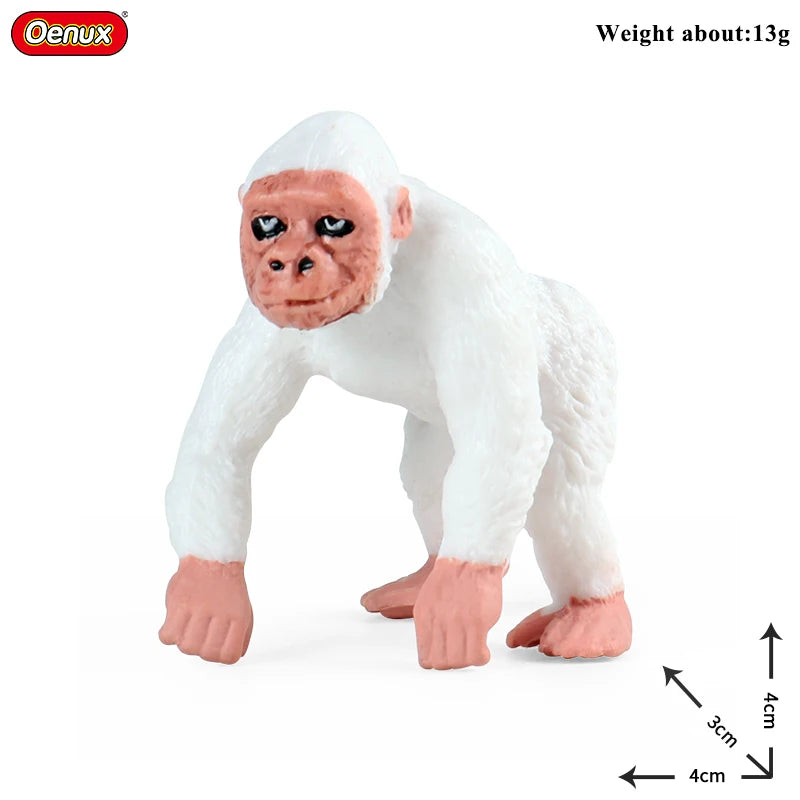 Oenux New Wild Animals Forest Orangutan Pigeon Hedgehog Aardvark Capybara Action Figure Model Figurines PVC Collection Kids Toy