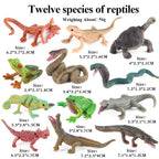 Oenux Mini Wild Forest Animals Insect Dinosaur Model Owl Fox Squirrel Hedgehog Fox Frog Figurines Cake Toppers Kid Toy Gift