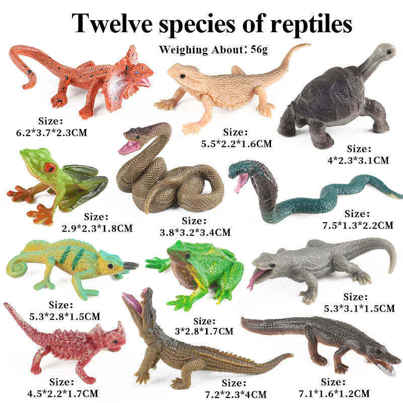 Oenux Mini Wild Forest Animals Insect Dinosaur Model Owl Fox Squirrel Hedgehog Fox Frog Figurines Cake Toppers Kid Toy Gift