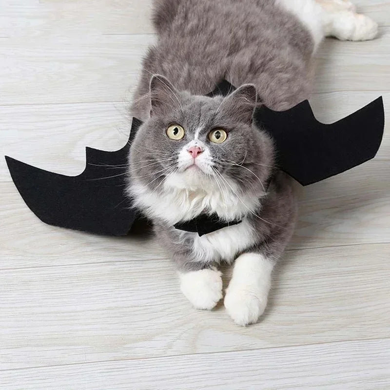 Creative Cute Pet Clothes Black Bat Wings Carrier Costume Cosplay Cat and Dog Party Pet Supplies Cosplay