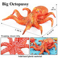 Oenux Marine Molluscs Model Simulation Squid Octopus Growth Cycle Action Figure Sealife Animals Education Collection Kids Toy