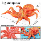 Oenux Marine Molluscs Model Simulation Squid Octopus Growth Cycle Action Figure Sealife Animals Education Collection Kids Toy